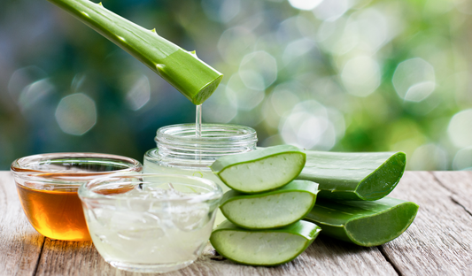 Aloe Vera – The Ultimate Skin Hydrator - Banlieue